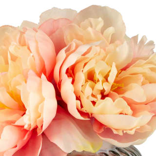 B&M Peony In Ribbed Glass Vase