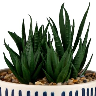B&M Scandi Shore Stripe Succulent