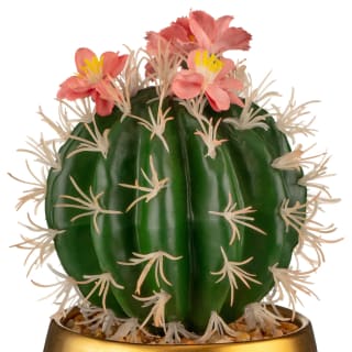 B&M Lush Paradise Cactus In Gold Pot