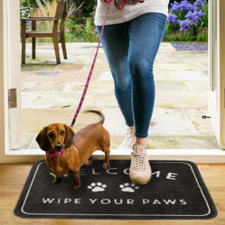 B&M Washable Pet Doormat - Wipe Your Paws