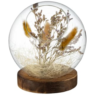 B&M Dried Pampas In Sphere