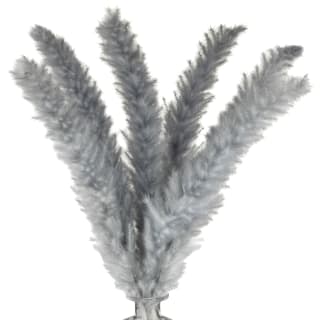 B&M Grey Pampas In Glass Vase