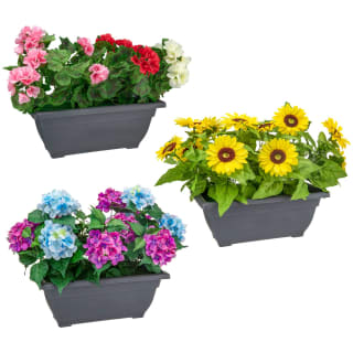 Bloom Basic Window Box - Hydrangea