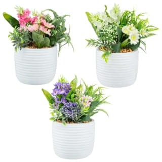 Bloom Mixed Flowers In Pot - White