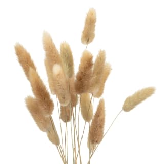 B&M Bunny Tails In Double Handled Vase
