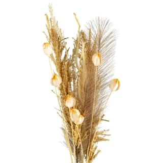 B&M Pampas & Leaf In Glass Vase