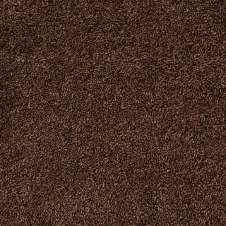 B&M Antibacterial Doormat - Brown