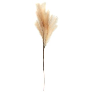 B&M Pampas Stem - Natural