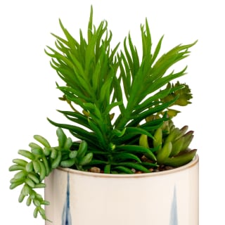 B&M Succulent In Blue Drip Pot