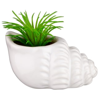 B&M Scandi Shore Small Shell Succulent