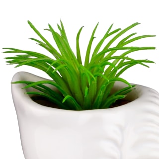 B&M Scandi Shore Small Shell Succulent