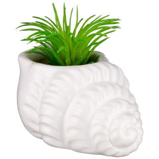 B&M Scandi Shore Small Shell Succulent