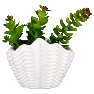 B&M Scandi Shore Small Shell Succulent