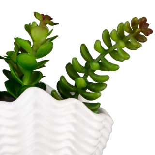B&M Scandi Shore Small Shell Succulent
