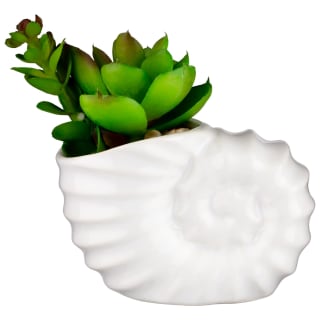B&M Scandi Shore Small Shell Succulent