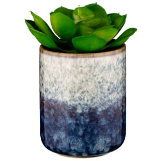 B&M Scandi Shore Succulent