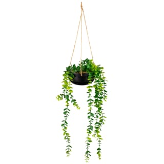 B&M Hanging Trailing Plant In Ceramic Pot