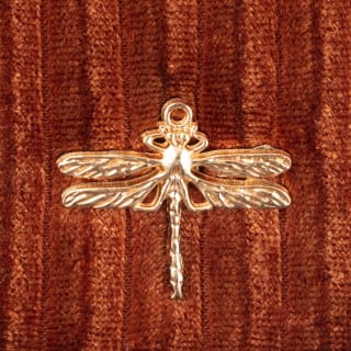 B&M Jewellery Box - Dragonfly