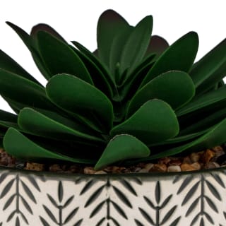 B&M Succulent In Botanist Print Pot - Green
