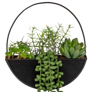 B&M Eden Life Round Trailing Plant