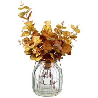 B&M Preserved Eucalyptus In Glass Jar