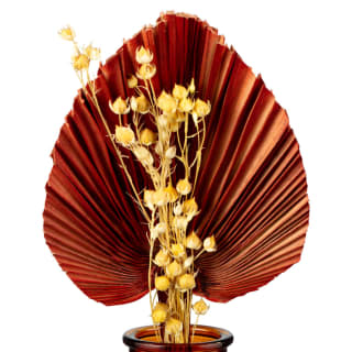 B&M Fan Leaf Arrangement