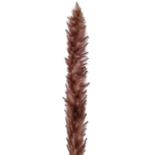 B&M Pink Pampas In Ribbed Vase