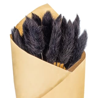 B&M Dried Black Bunny Tail Bunch