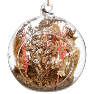 B&M Dried Flowers In Sphere