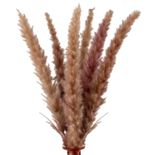 B&M Blush Vase With Pampas