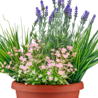 Bloom Flowers In Large Planter - Light Pink