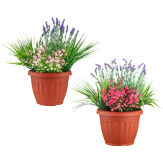 Bloom Flowers In Large Planter - Light Pink