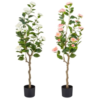 Bloom Rose Tree - White