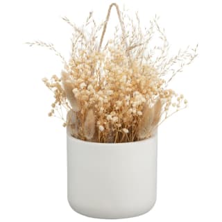 B&M Hanging Dried Flowers