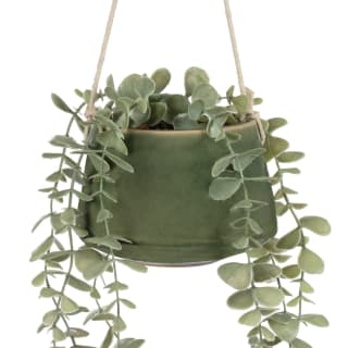 B&M Hanging Foliage In Green Ceramic Pot