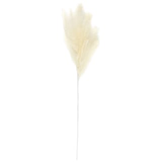 B&M Pampas Stem - Cream