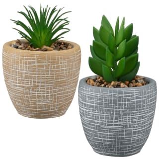 B&M Small Succulent Pot - Stone