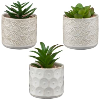 B&M Assorted Embossed Pots