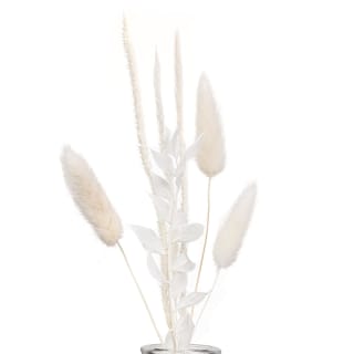 B&M Natural Dried Flowers In Vase