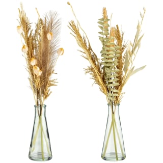 B&M Pampas & Leaf In Glass Vase