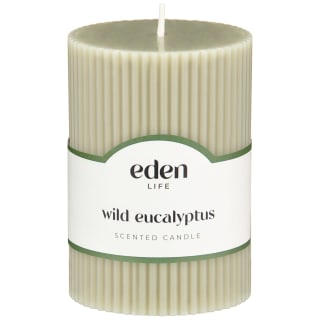 B&M Wild Eucalyptus Scented Candle