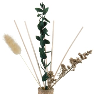 B&M Eden Life Reed Diffuser - Jasmine & Casis